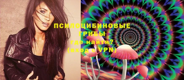 таблы Каменногорск