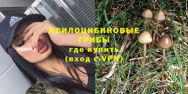 таблы Каменка