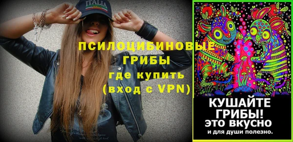 таблы Каменка